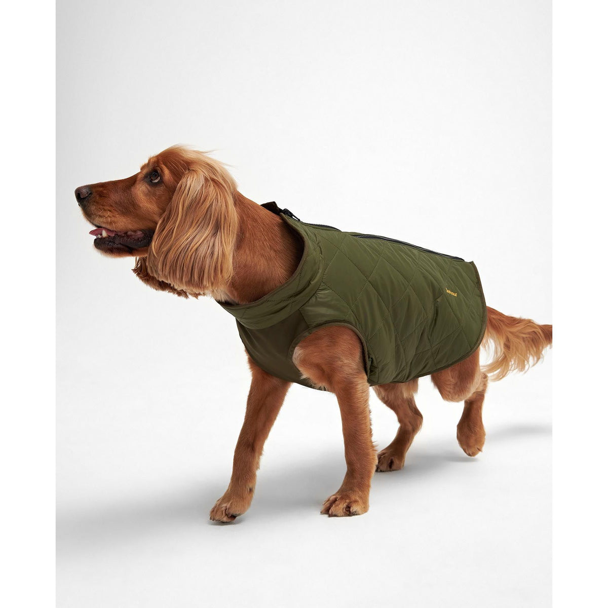 Reversible Quilted Dog Coat Olive