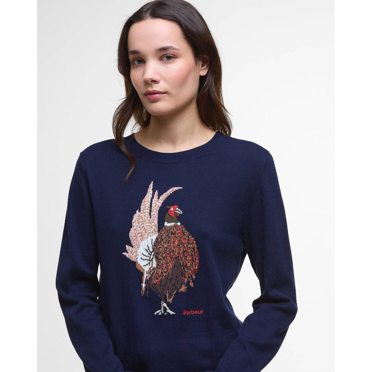 Homeswood Crew Neck Jumper