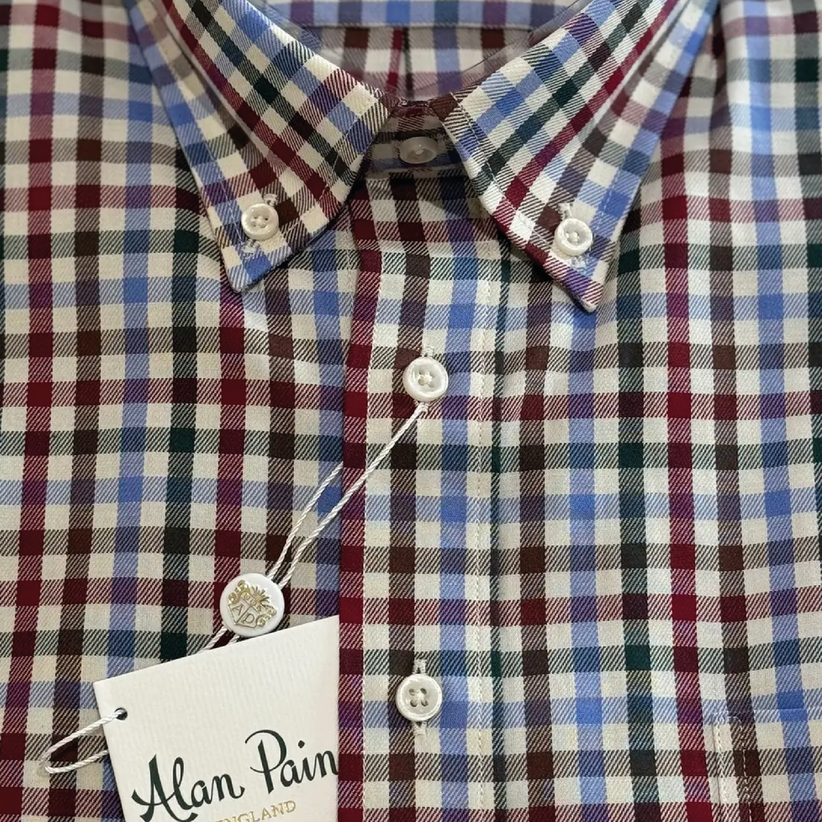 Button Down Shirt Check Classic Fit