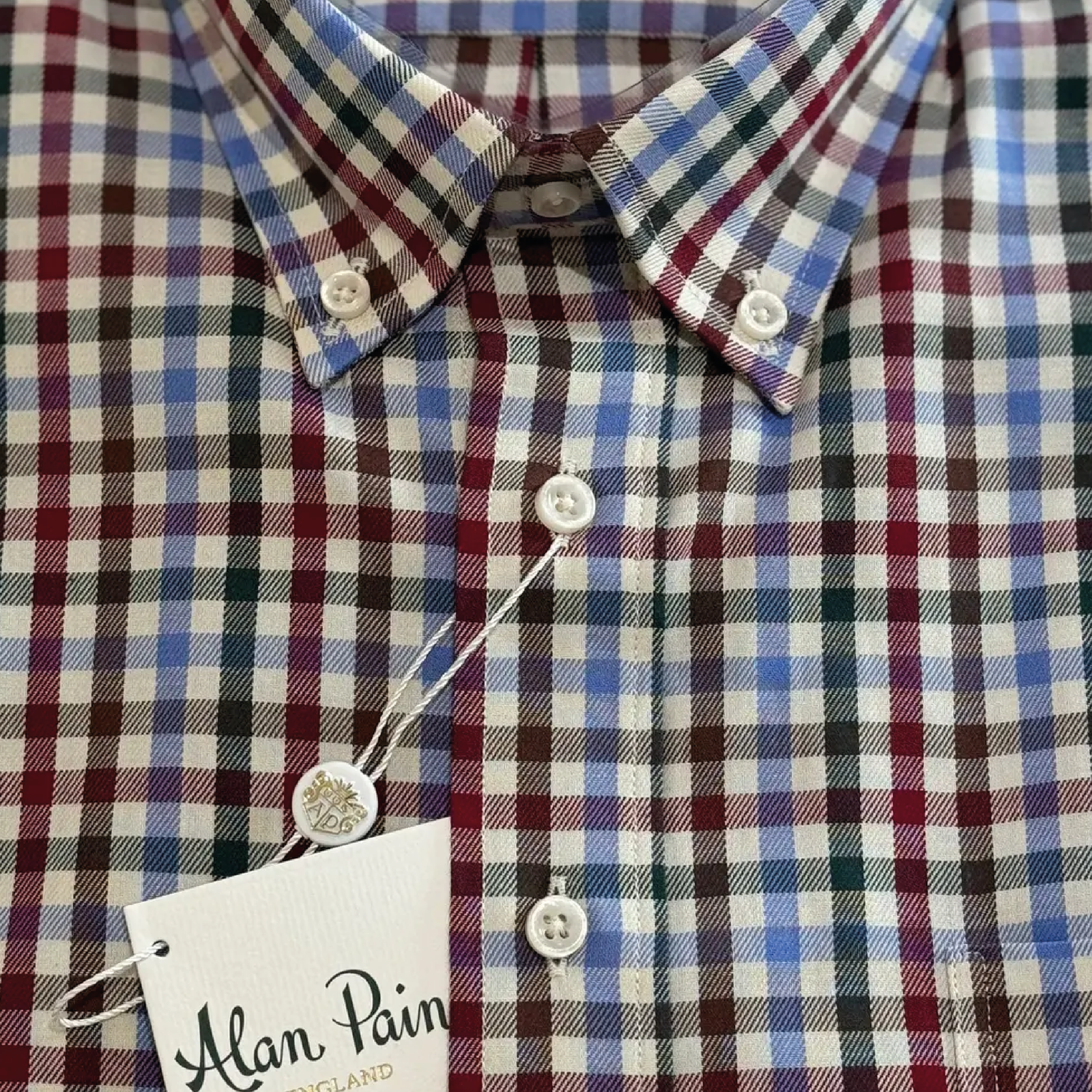 Button Down Shirt Check Classic Fit