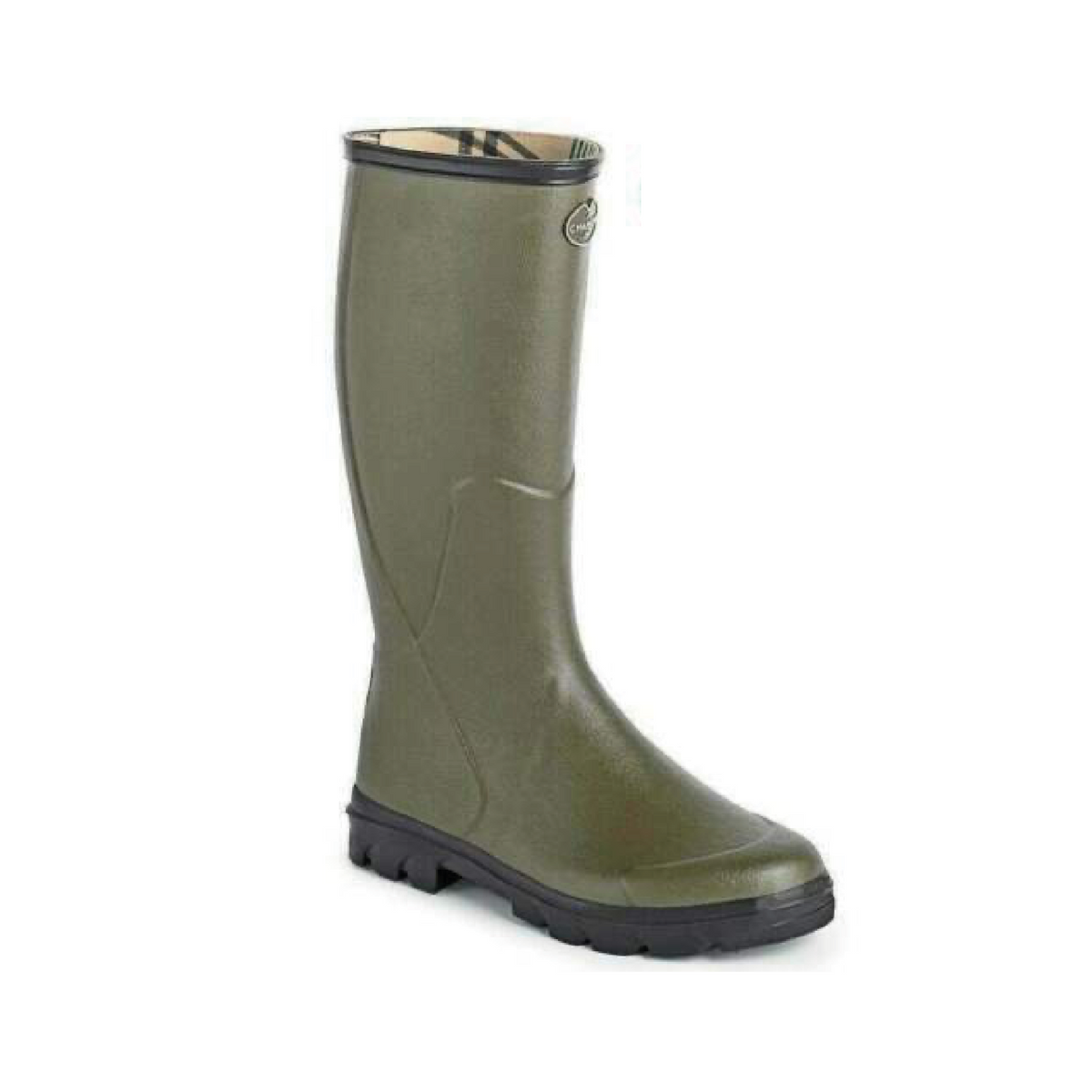 Anjou Evolution Lady