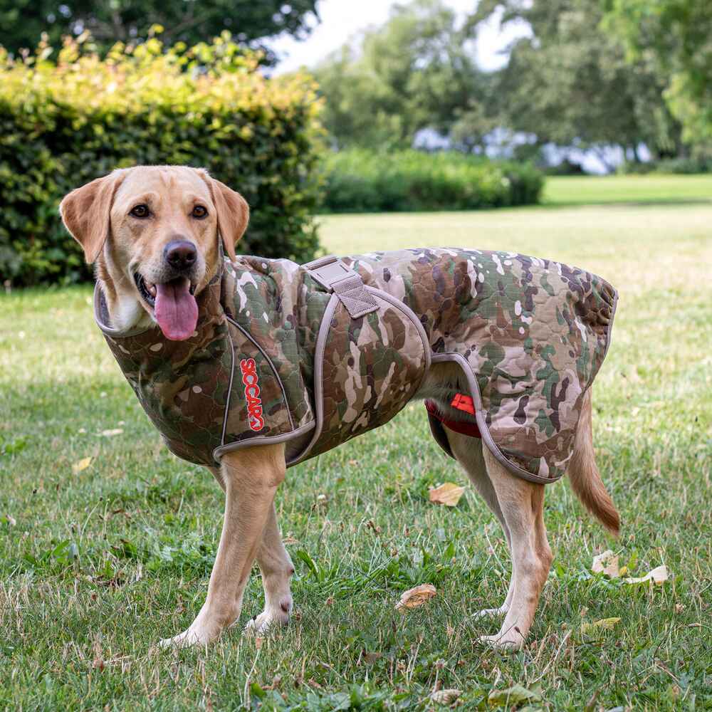 Spirit 2.0 Dog Drying Coat Camo