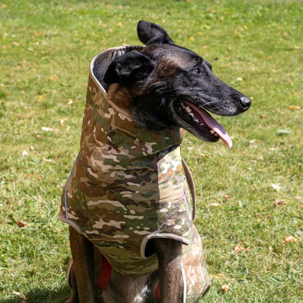 Spirit 2.0 Dog Drying Coat Camo