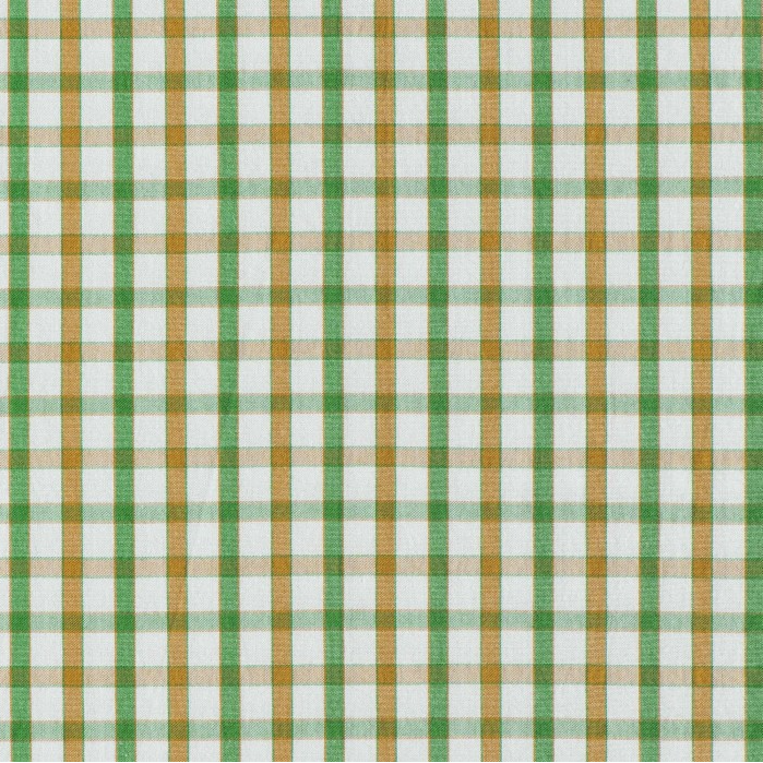 Wood Plain Collar Shirt Green &amp; Haselnut Check