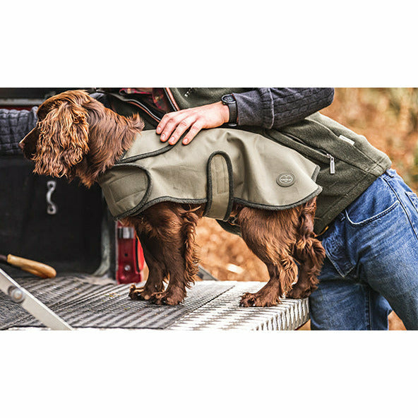 Hundöverdrag Vert Chameau