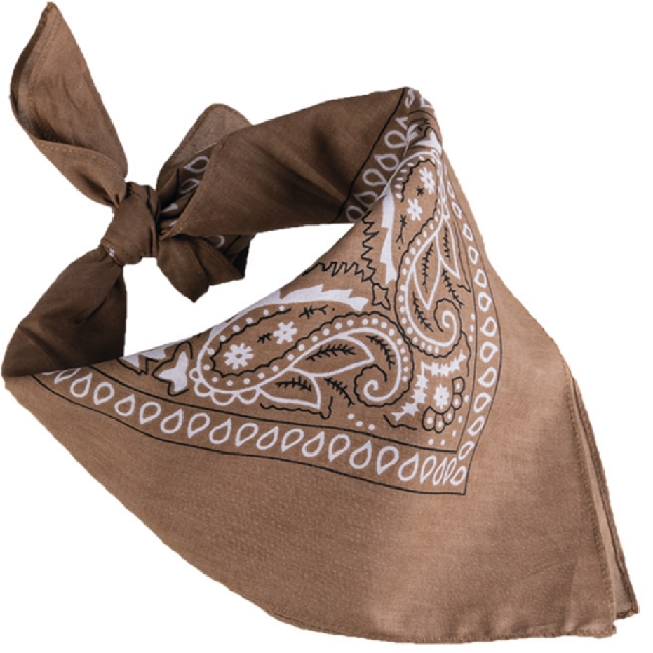 Snusnäsduk/Bandana brun